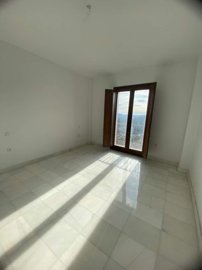 property219179564