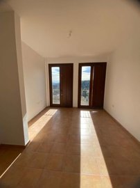 property219177344