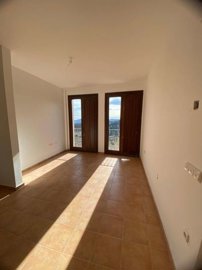 property219177382