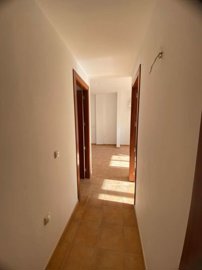 property219177404