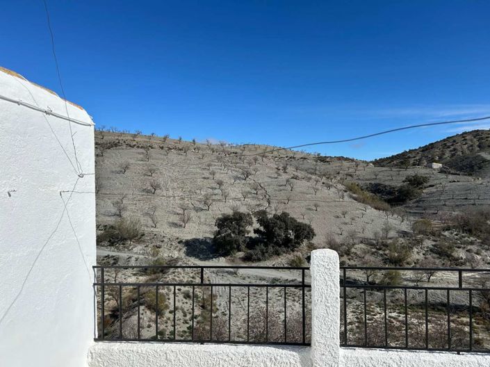 Image No.32-7 Bed Finca for sale