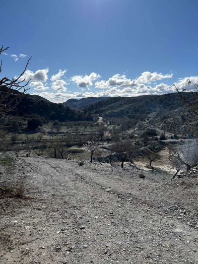 Image No.40-7 Bed Finca for sale