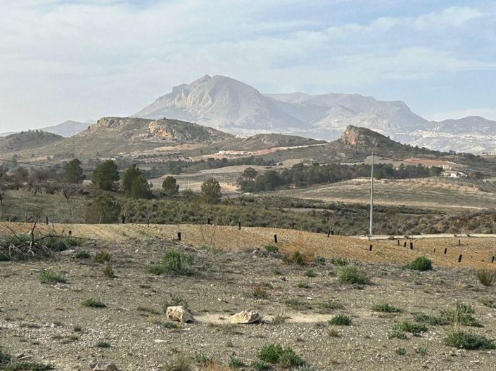 Image No.19-Finca de 3 chambres à vendre à Velez-Rubio