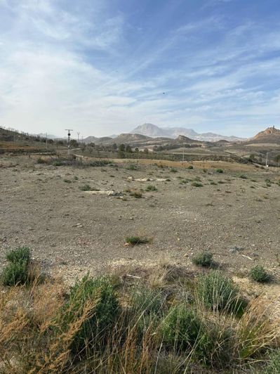 Image No.7-Finca de 3 chambres à vendre à Velez-Rubio