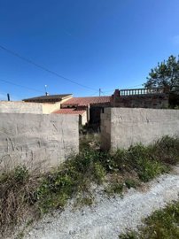 property229775737