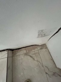 property22977512