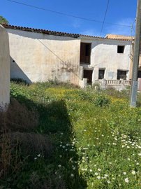 property229775717