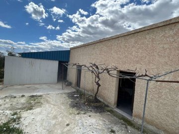 property229984119