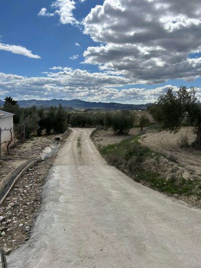 Image No.11-1 Bed Finca for sale