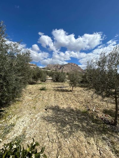 Image No.18-1 Bed Finca for sale