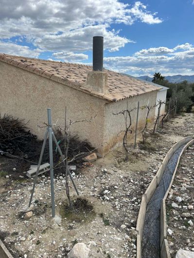 Image No.5-1 Bed Finca for sale