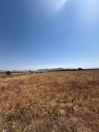 property151793757