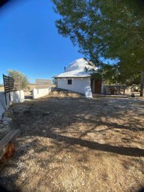 property151793221