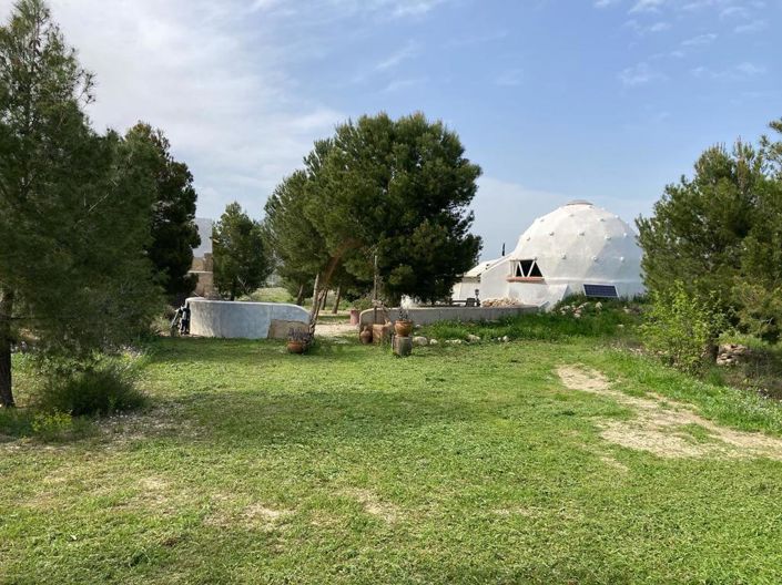 Image No.38-4 Bed Finca for sale