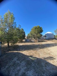property151793424