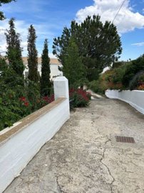property234162460