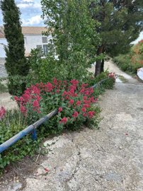 property23416226