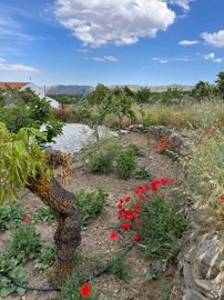 property23416271