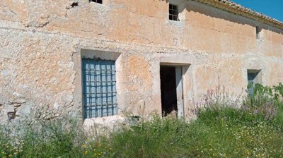 property234494543