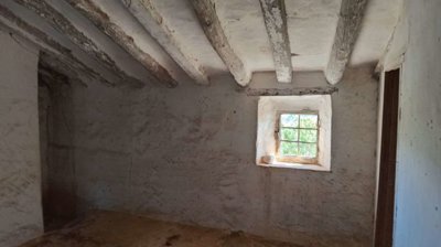 property234494287