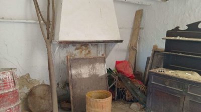 property234494238