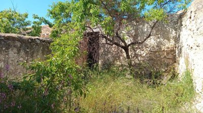 property234494842