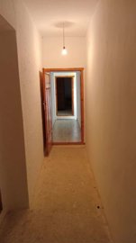 property234488665