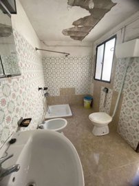 property234367608