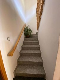 property233429413