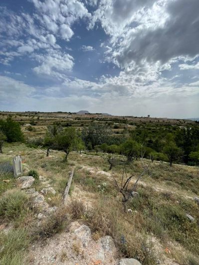 Image No.1-Property for sale