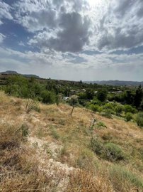 property235369899