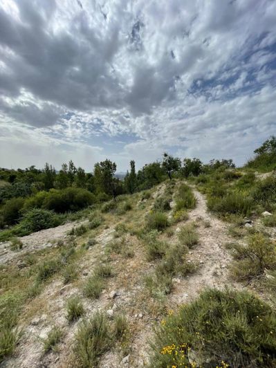 Image No.11-Property for sale