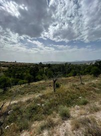 property235369315