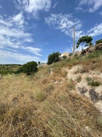 property235369339