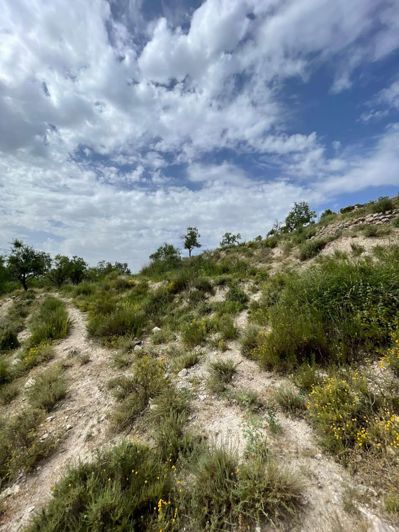 Image No.5-Property for sale