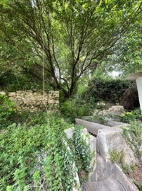 property235369224
