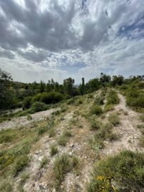 property23536913