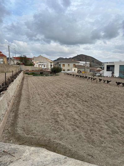 Image No.3-Finca de 7 chambres à vendre à Oria