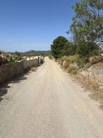 property235802144