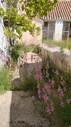 Image No.2-6 Bed Property for sale