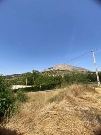 property235848235