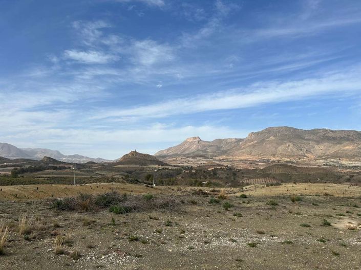 Image No.23-3 Bed Finca for sale