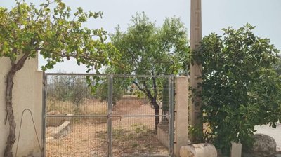 property240720290