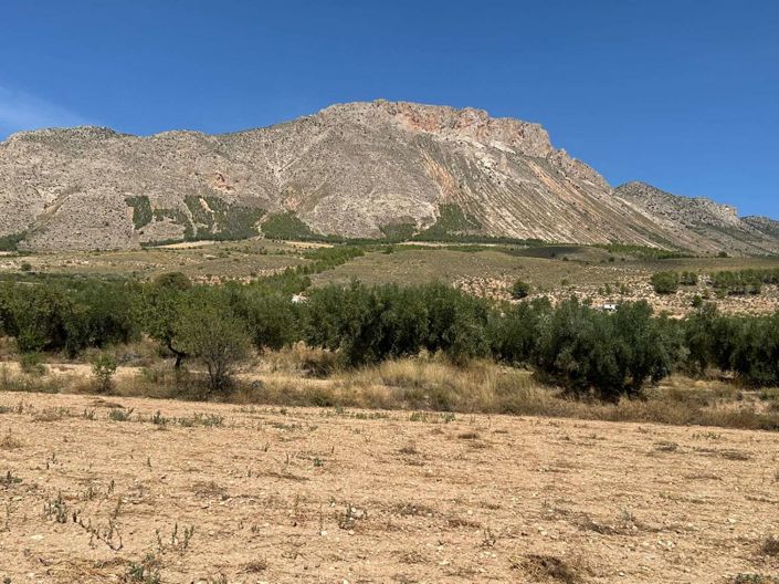 Image No.30-3 Bed Chalet for sale