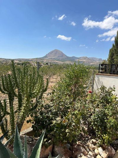 Image No.43-3 Bed Chalet for sale