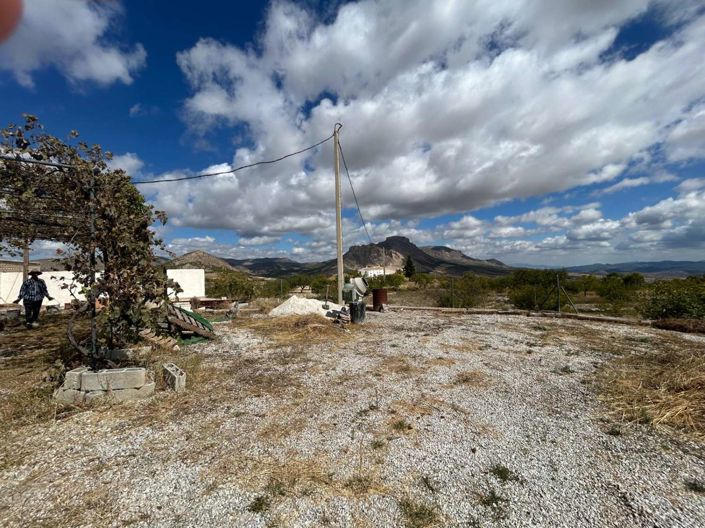 Image No.7-5 Bed Chalet for sale