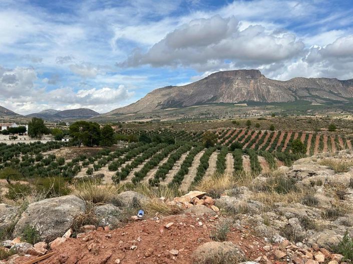 Image No.32-4 Bed Property for sale