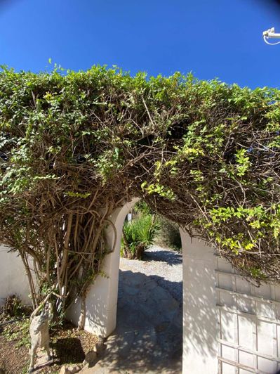 Image No.8-2 Bed Villa for sale