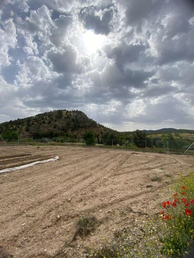 Image No.2-Property for sale