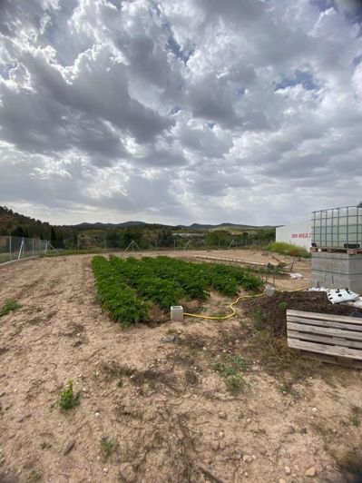 Image No.4-Property for sale